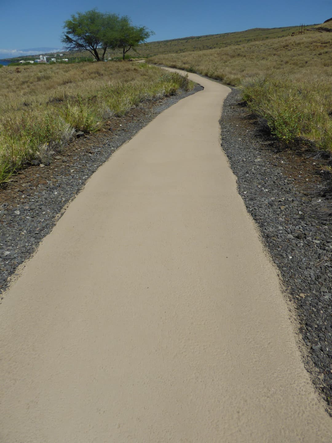 Puʻukoholā Heiau National Historic Site