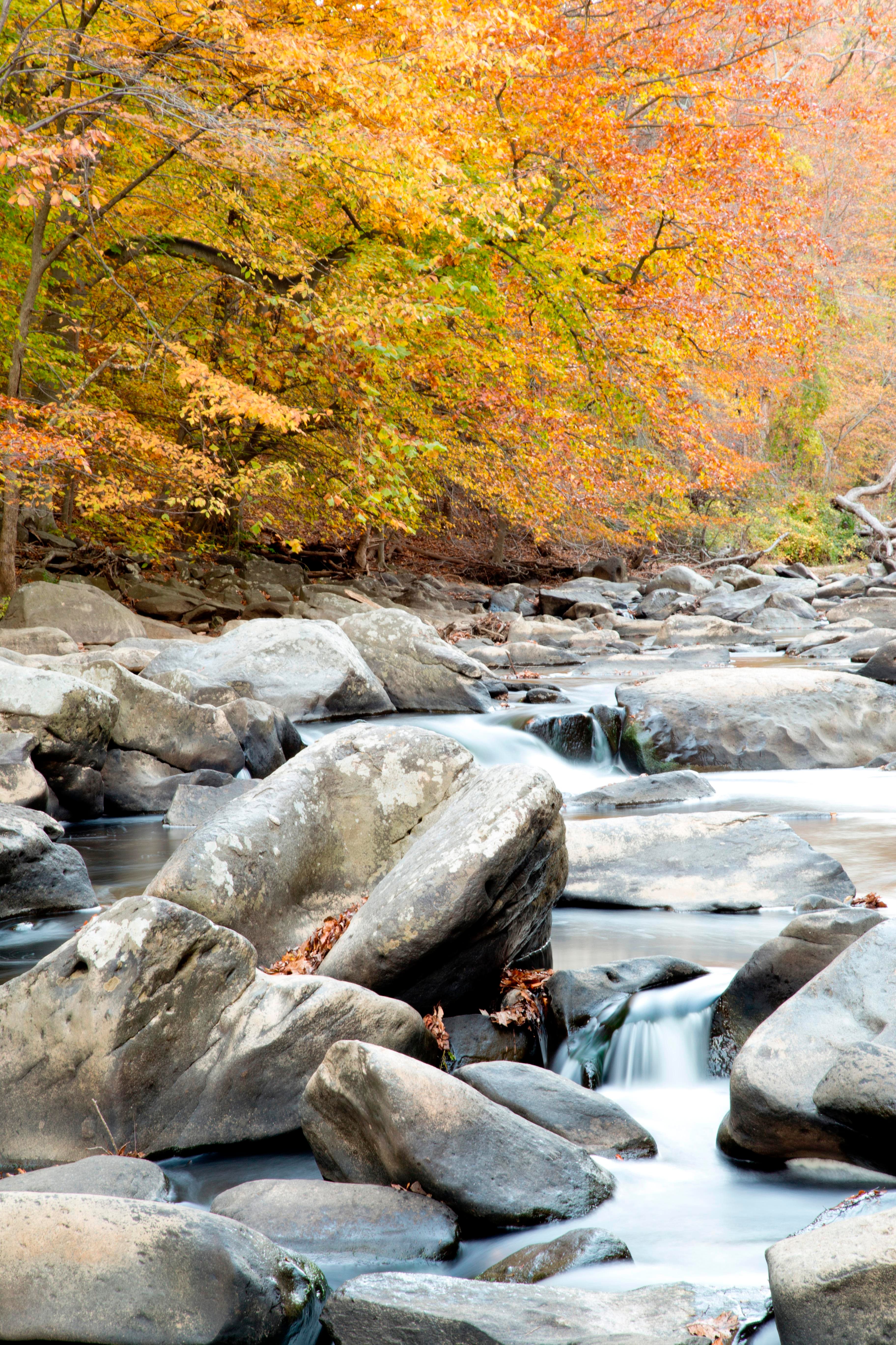 Water swirls around large boulders in a creek.  Trees in autumn colors line the bank